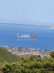 Οικόπεδο 10.734 τ.μ. προς πώληση, Πλατάνι Ρίου-thumb-36