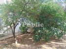Διαμέρισμα 135τ.μ. για πώληση-Χαλάνδρι » Κάτω χαλάνδρι