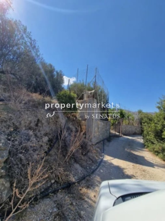 Αγροτεμάχια 1.000 τ.μ. προς πώληση, Καλαμαύκα