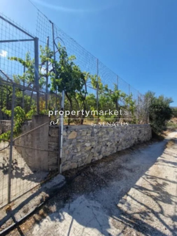 Αγροτεμάχια 1.000 τ.μ. προς πώληση, Καλαμαύκα