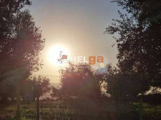 Αγροτεμάχια 30.000 τ.μ. για πώληση