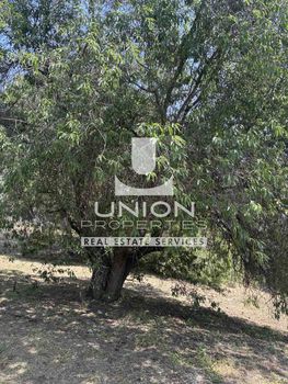 Land plot 826sqm for sale-Melissia » Ano Melissia