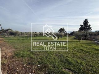 Αγροτεμάχια 1.250 τ.μ. για πώληση