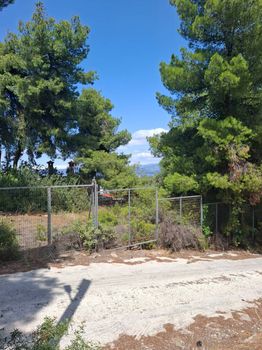 Parcel 460sqm for sale-Inofita » Dilesi