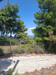 Αγροτεμάχια 460 τ.μ. για πώληση