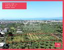Οικόπεδο 5.600τ.μ. για πώληση-Καλαμάτα