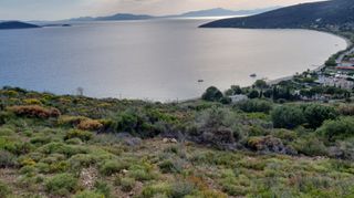 Οικόπεδο 5.000 τ.μ. για πώληση, Εύβοια, Μαρμάρι-thumb-2