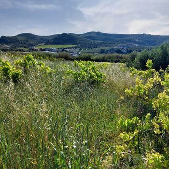 Οικόπεδο 3.320 τ.μ. για πώληση