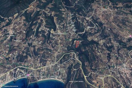 Αγροτεμάχια 8.329 τ.μ. για πώληση