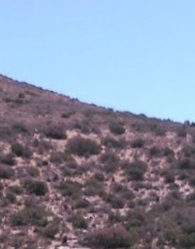 Οικόπεδο 4.700 τ.μ. για πώληση