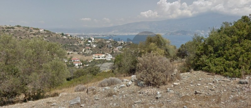 Οικόπεδο 20.000 τ.μ. πρός πώληση, Μαγνησία, Βόλος
