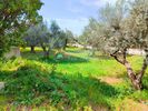 Οικόπεδο 656τ.μ. για πώληση-Πάτρα » Προάστιο