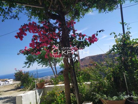 Μονοκατοικία 50τ.μ. για ενοικίαση-Ιεράπετρα » Κεντρί