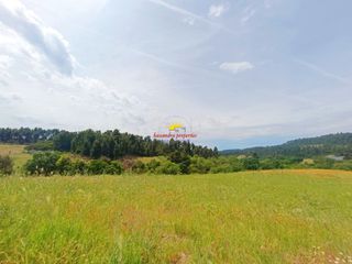 Αγροτεμάχια 18.313 τ.μ. για πώληση