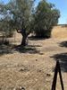 Parcel 500sqm for sale-Agioi Theodoroi » Center