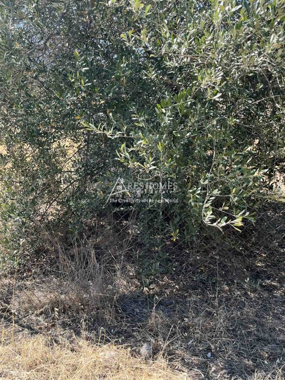 Αγροτεμάχια 500 τ.μ. προς πώληση, Κέντρο Αγίων Θεοδώρων