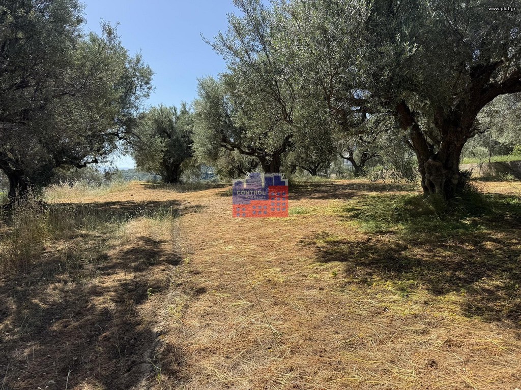 Οικόπεδο 2.200 τ.μ. πρός πώληση, Αχαΐα, Αιγιάλεια
