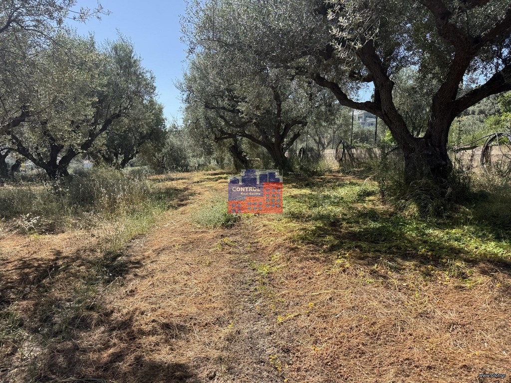 Οικόπεδο 2.200 τ.μ. πρός πώληση, Αχαΐα, Αιγιάλεια