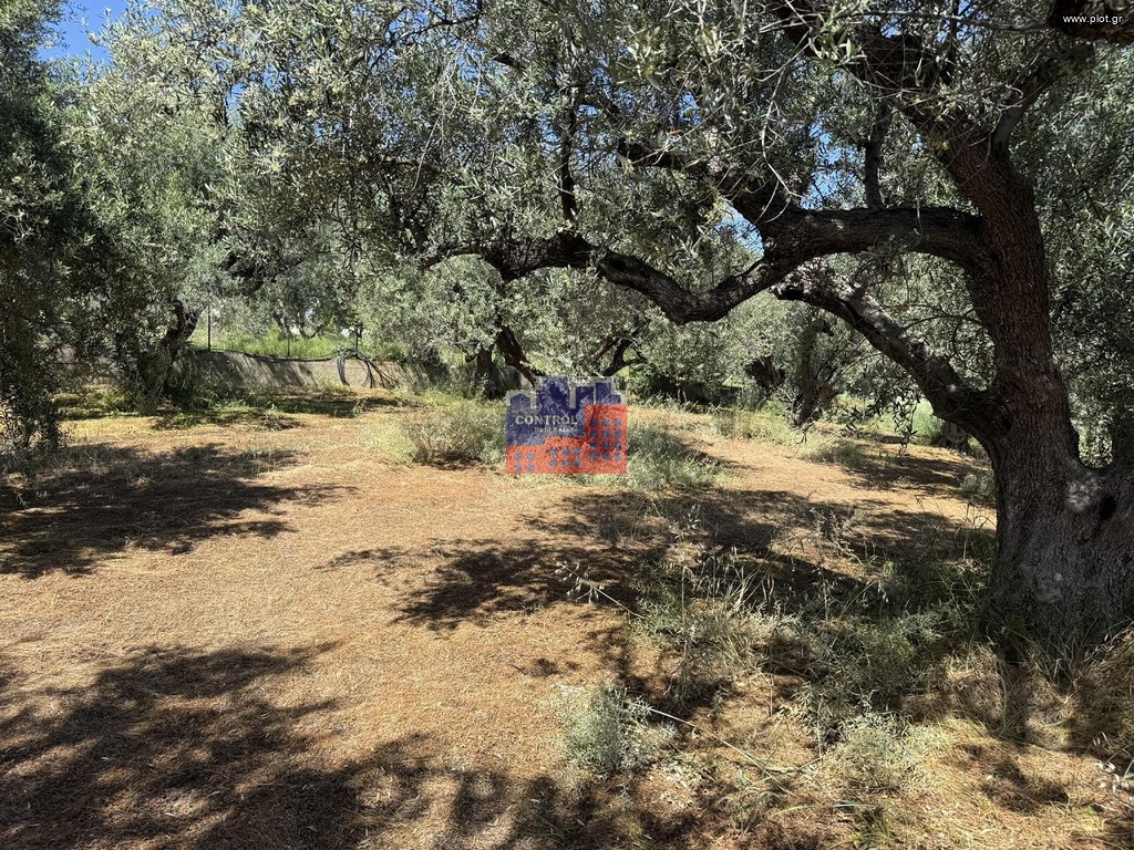Οικόπεδο 2.200 τ.μ. πρός πώληση, Αχαΐα, Αιγιάλεια