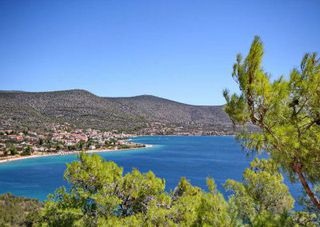 Αγροτεμάχια 20.000 τ.μ. για πώληση