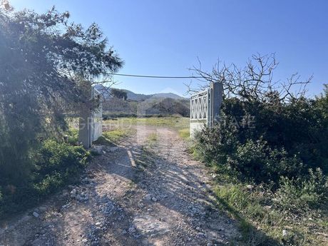 Land plot 5.167sqm for sale-Aegina » Vigla