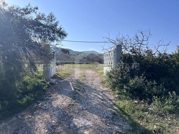 Οικόπεδο 5.167 τ.μ. για πώληση, Νησιά Αργοσαρωνικού, Αίγινα