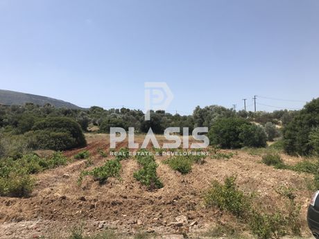 Αγροτεμάχια 1.600τ.μ. για πώληση-Μαρκόπουλο