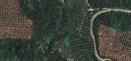 Parcel 20.771sqm for sale-Pilos » Iklaina