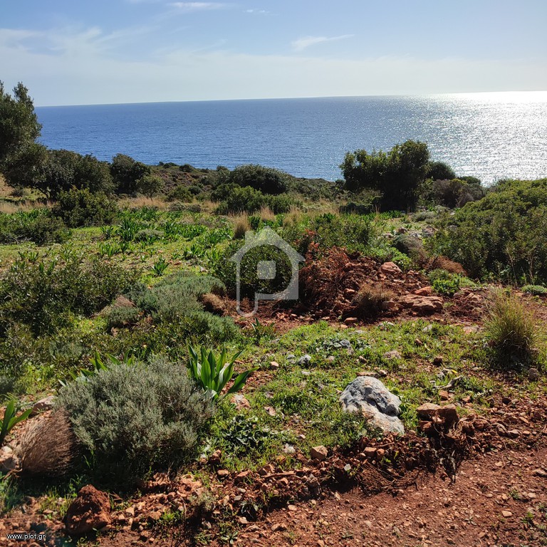 Αγροτεμάχια 11.200 τ.μ. πρός πώληση, Λακωνία, Βοϊων