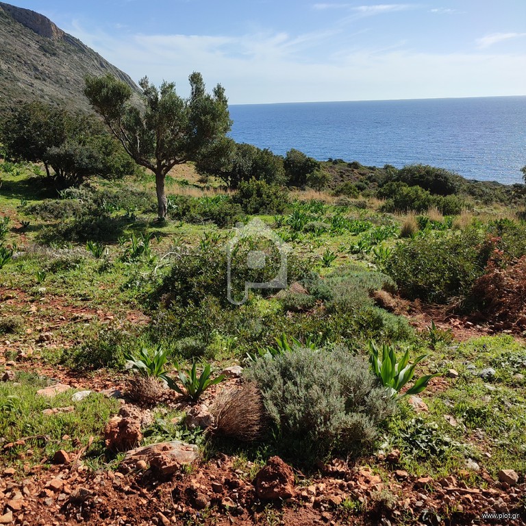 Αγροτεμάχια 11.200 τ.μ. πρός πώληση, Λακωνία, Βοϊων