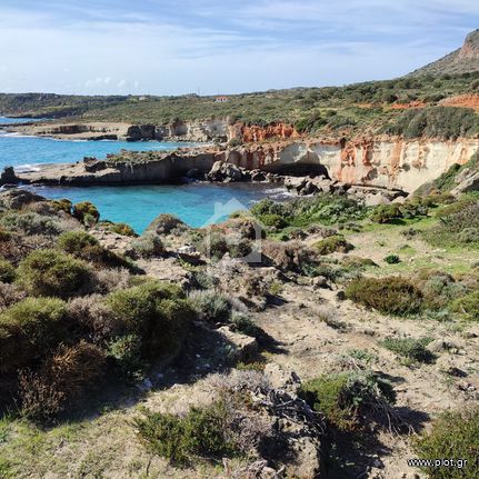 Parcel 11.000 sqm for sale, Lakonia, Voion