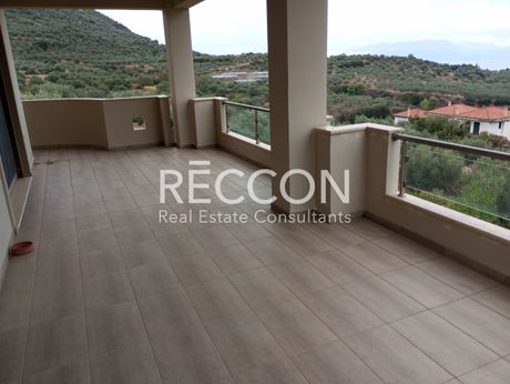 Detached home 340sqm for sale-Evrostini » Rozena