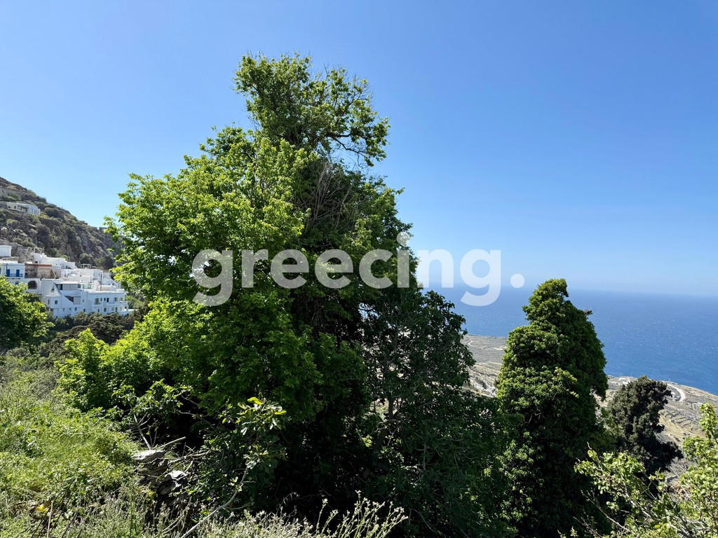 Οικόπεδο 143 τ.μ. προς πώληση, Τήνος