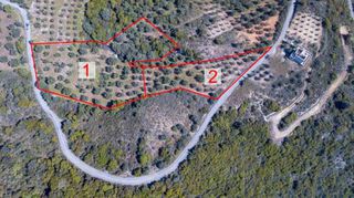 Οικόπεδο 9.004 τ.μ. για πώληση, Μεσσηνία, Πεταλίδι-thumb-3