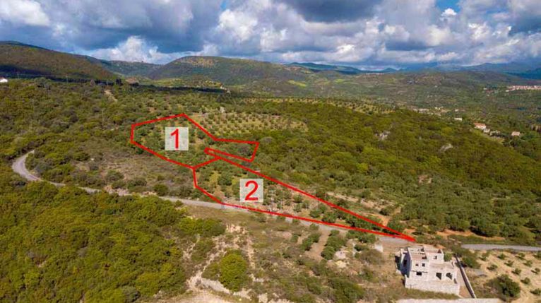 Οικόπεδο 9.004 τ.μ. για πώληση, Μεσσηνία, Πεταλίδι