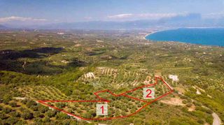 Οικόπεδο 9.004 τ.μ. για πώληση, Μεσσηνία, Πεταλίδι-thumb-1