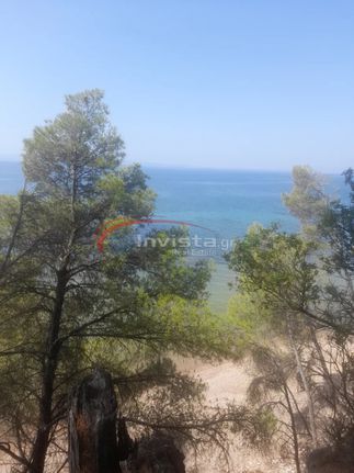 Αγροτεμάχια 1.000 τ.μ. για πώληση, Χαλκιδική, Σιθωνία