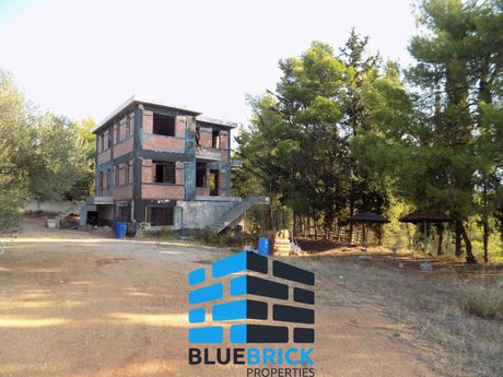 Detached home 312sqm for sale-Krioneri