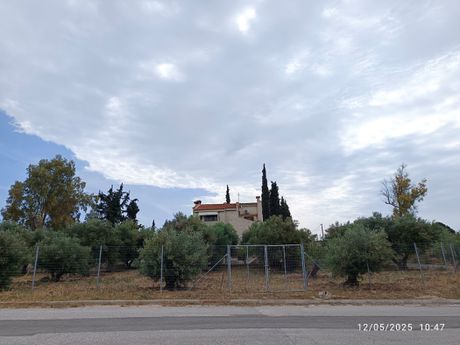 Οικόπεδο 810 τ.μ. για ενοικίαση