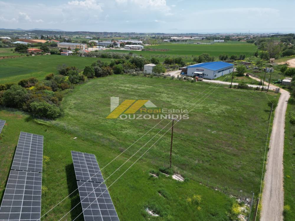 Αγροτεμάχια 6.600 τ.μ. προς πώληση, Παλαγία