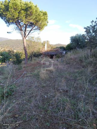 Οικόπεδο 19.500 τ.μ. για πώληση, Εύβοια, Στύρα
