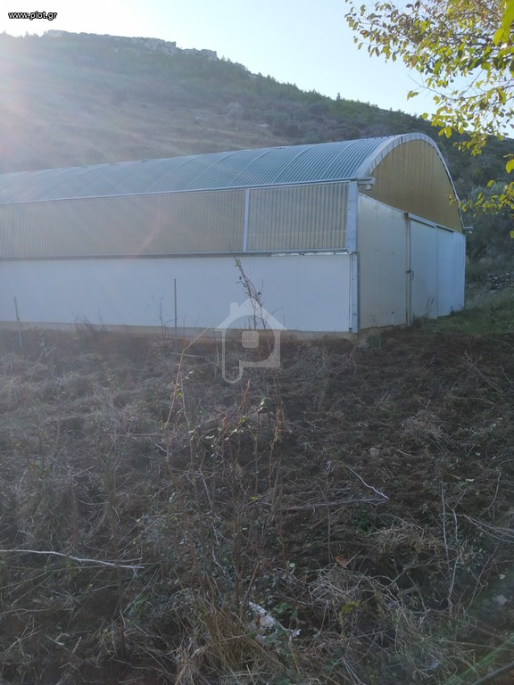Οικόπεδο 19.500 τ.μ. προς πώληση, Τσακαίοι