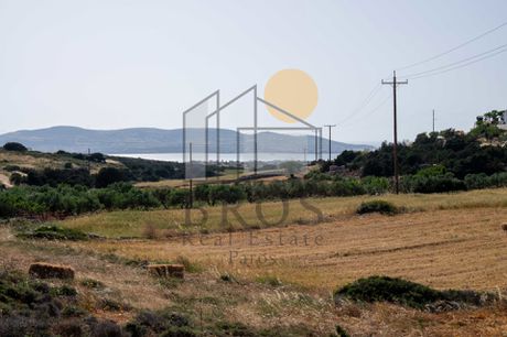 Αγροτεμάχια 8.048,60 τ.μ. πρός πώληση