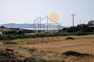 Αγροτεμάχια 8.048,60 τ.μ. για πώληση