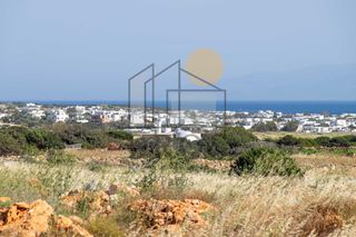 Αγροτεμάχια 4.904 τ.μ. για πώληση