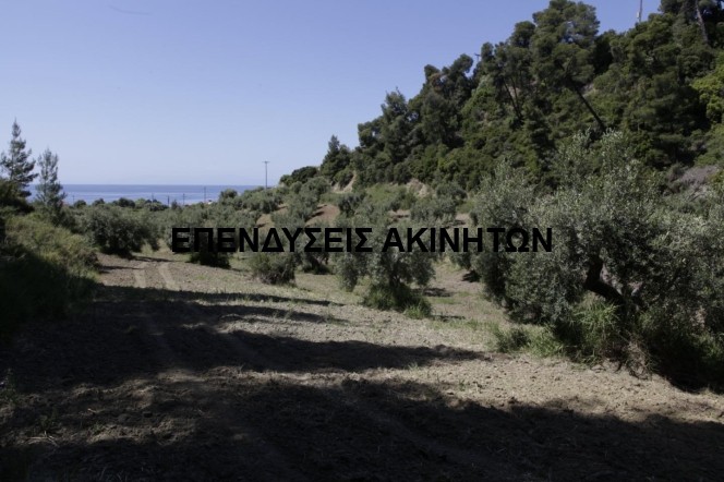 Αγροτεμάχια 16.000 τ.μ. πρός πώληση, Χαλκιδική, Παλλήνη