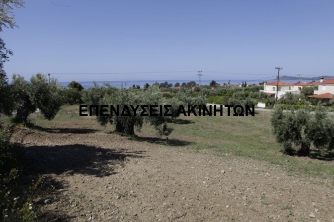 Αγροτεμάχια 16.000 τ.μ. πρός πώληση, Χαλκιδική, Παλλήνη