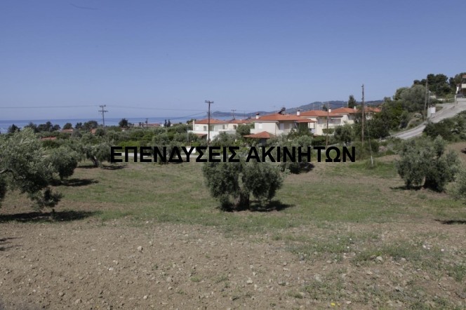 Αγροτεμάχια 16.000 τ.μ. πρός πώληση, Χαλκιδική, Παλλήνη