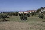 Αγροτεμάχια 16.000τ.μ. για πώληση-Παλλήνη » Νέα σκιώνη