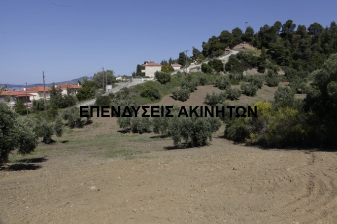 Αγροτεμάχια 16.000 τ.μ. πρός πώληση, Χαλκιδική, Παλλήνη